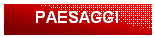 Casella di testo: PAESAGGI