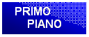 Casella di testo: PRIMO
PIANO