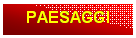 Casella di testo: PAESAGGI