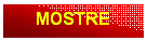 Casella di testo: MOSTRE