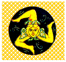 Casella di testo: