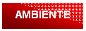 Casella di testo: AMBIENTE
