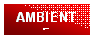 Casella di testo: AMBIENTE 
