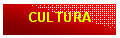 Casella di testo: CULTURA