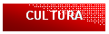 Casella di testo: CULTURA

