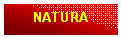 Casella di testo: NATURA