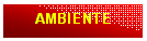 Casella di testo: AMBIENTE