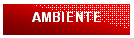 Casella di testo: AMBIENTE

