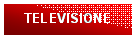 Casella di testo: TELEVISIONE

