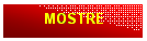 Casella di testo: MOSTRE
