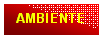 Casella di testo: AMBIENTE