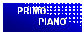 Casella di testo: PRIMO
PIANO
