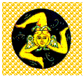 Casella di testo: